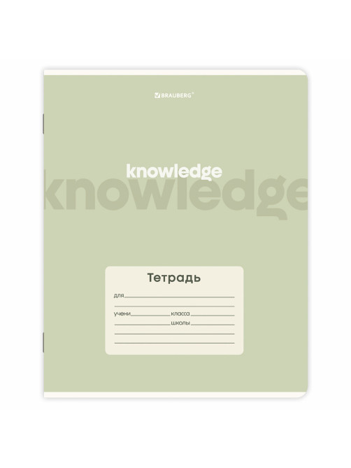 Тетради ДЭК 24 л. КОМПЛЕКТ 10 шт. BRAUBERG, клетка, обложка картон, 
