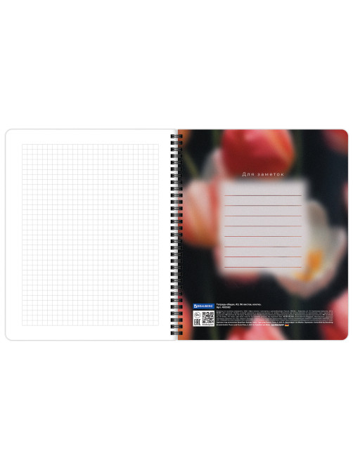 Тетради ДЭК А5 96 л. КОМПЛЕКТ 4 шт., BRAUBERG, гребень, клетка, 80 г/м2, Soft-Touch, 