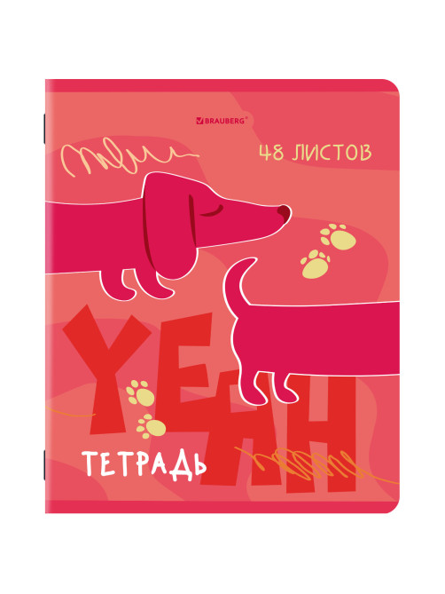 Тетради ДЭК А5 48 л. КОМПЛЕКТ 5 шт. BRAUBERG, скоба, клетка, TWIN-лак, 