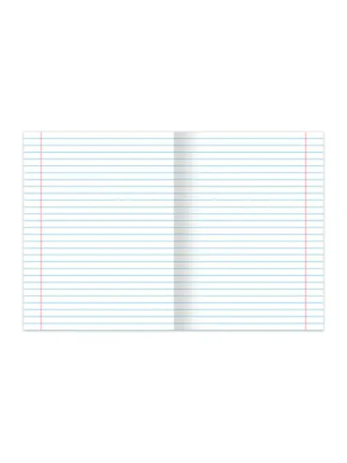 Тетради ДЭК 24 л., КОМПЛЕКТ 10 шт., BRAUBERG 