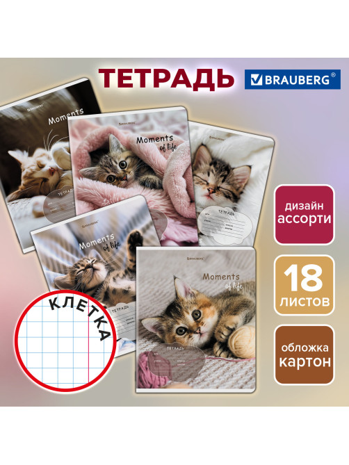 Тетрадь 18 л. BRAUBERG клетка, обложка картон, КОТЯТА, 107292