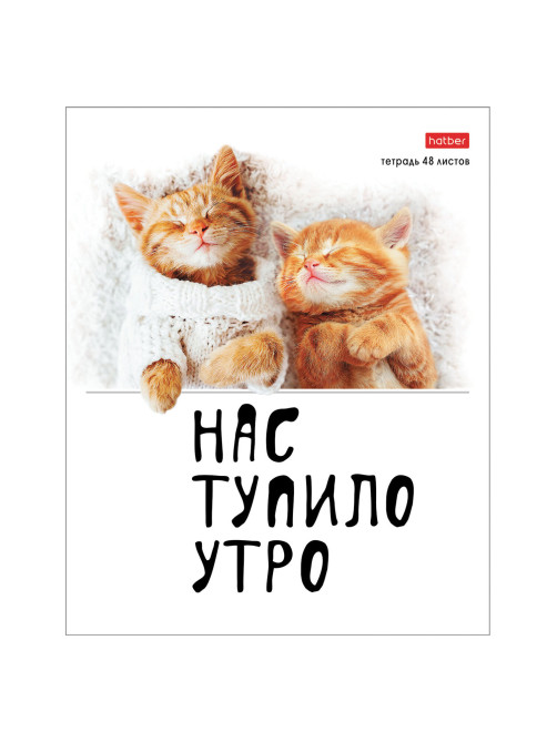 Тетрадь А5 48 л., HATBER скоба, клетка, обложка картон, 