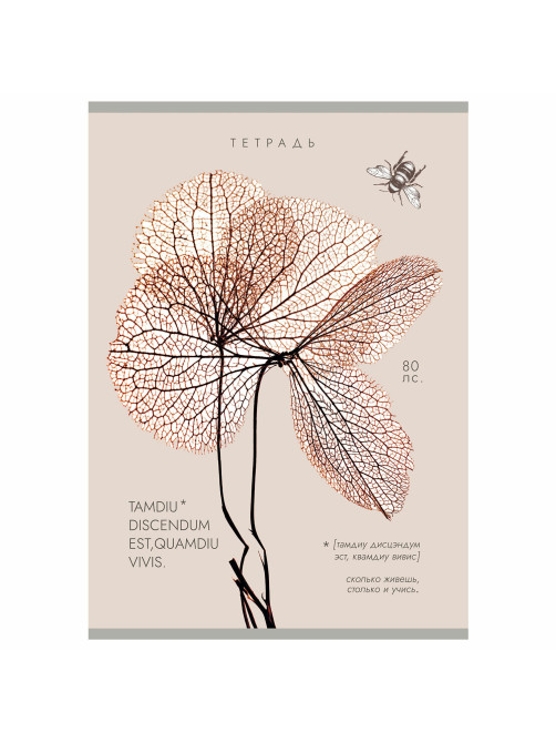 Тетрадь А4 80 л. ПЗБМ, скоба, клетка, Soft Touch, брайль, 
