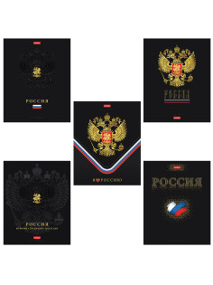 Тетрадь А5 48 л., HATBER, скоба, клетка, матовая ламинация, 3D-фольга, 3D-лак, Россия (микс), 093210, 48Т5лофлВ1