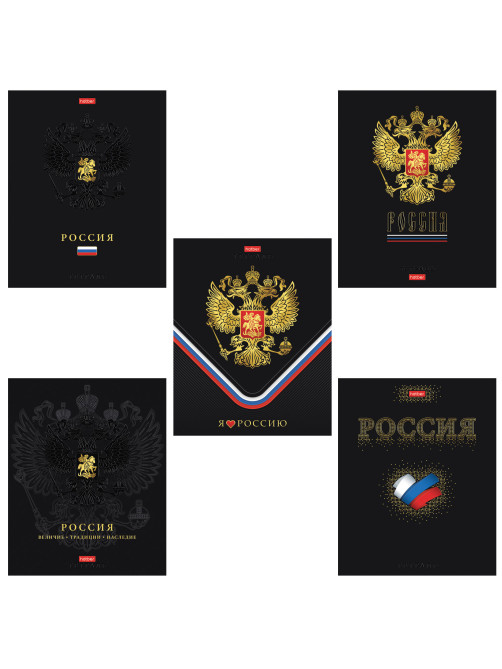 Тетрадь А5 48 л., HATBER, скоба, клетка, матовая ламинация, 3D-фольга, 3D-лак, Россия (микс), 093210, 48Т5лофлВ1