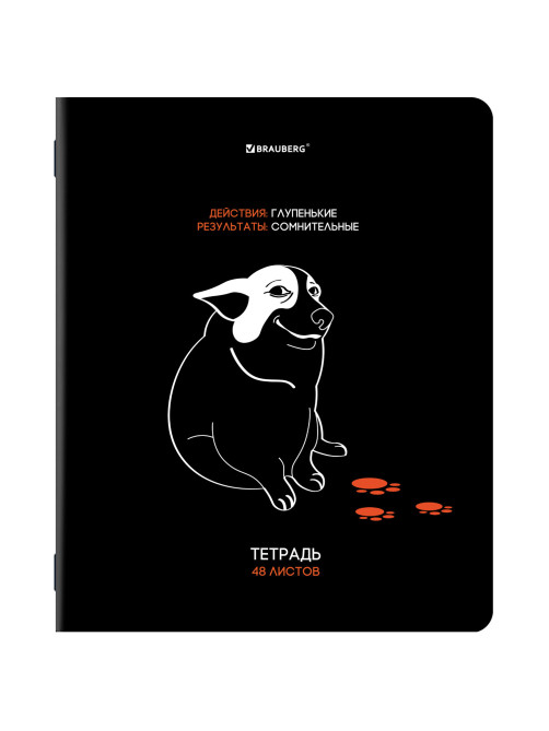 Тетради ДЭК А5 48 л. КОМПЛЕКТ 5 шт. BRAUBERG, скоба, клетка, TWIN-лак, 
