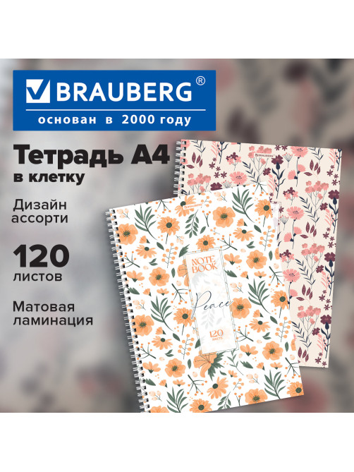Тетрадь А4, 120 л., BRAUBERG, гребень, клетка, матовая ламинация, 