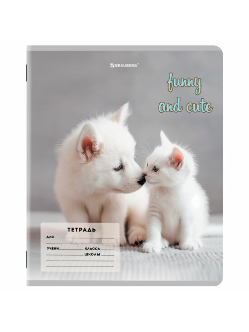 Тетрадь 12 л. BRAUBERG косая линия, обложка картон, CATS AND DOGS, 107288