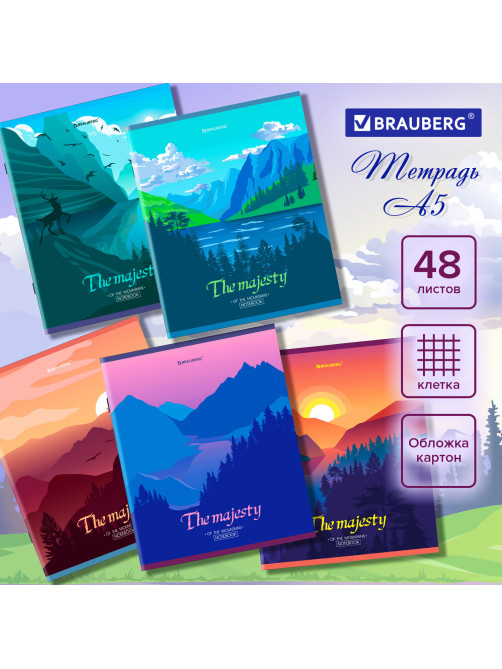 Тетрадь А5 48 л. BRAUBERG скоба, клетка, обложка картон, 