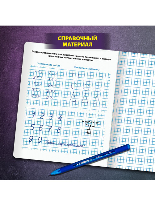 Тетради ДЭК 12 л. КОМПЛЕКТ 10 шт. ПРОПИСЬ № 6 клетка, со справочным материалом, ЮНЛАНДИЯ, 404855