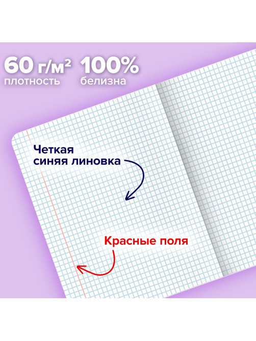 Тетради ДЭК А5 48 л. КОМПЛЕКТ 5 шт. BRAUBERG, скоба, клетка, матовая ламинация, фольга, 