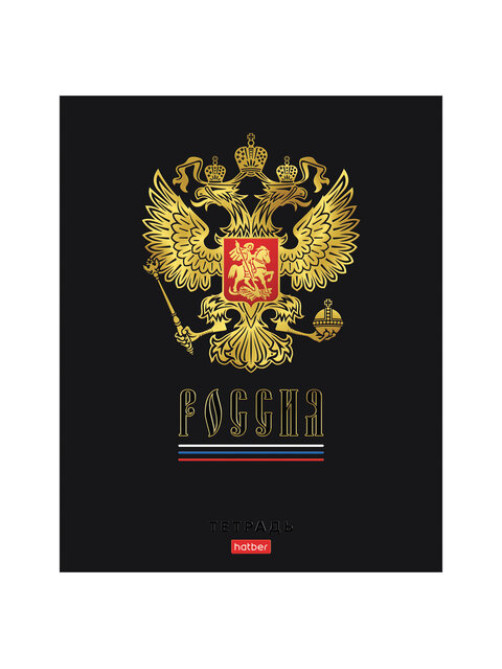 Тетрадь А5 48 л., HATBER, скоба, клетка, матовая ламинация, 3D-фольга, 3D-лак, Россия (микс), 093210, 48Т5лофлВ1