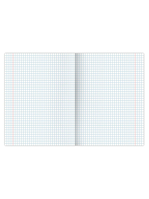 Тетради 12 л. КОМПЛЕКТ 10 шт. BRAUBERG, клетка, обложка картон, MULTICOLOR, 106665