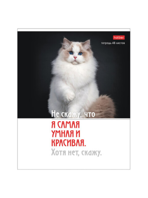 Тетрадь А5 48 л., HATBER скоба, клетка, обложка картон, 