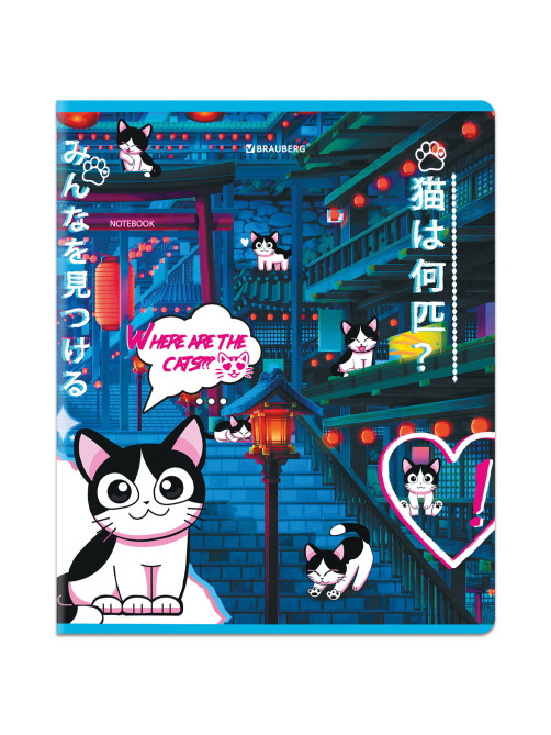 Тетради ДЭК А5 48 л. КОМПЛЕКТ 5 шт. BRAUBERG, скоба, клетка, матовая ламинация, лак, 
