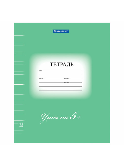 Тетрадь 12 л. BRAUBERG ЭКО 