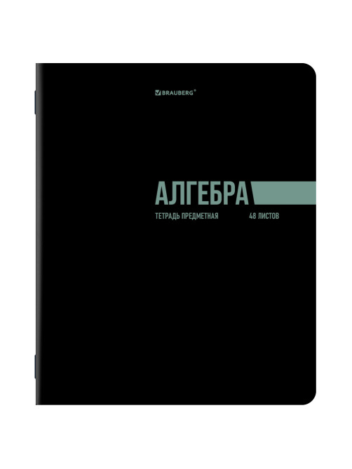 Тетради предметные, КОМПЛЕКТ 12 ПРЕДМЕТОВ, 48 л., обложка картон, BRAUBERG 