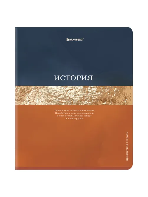 Тетради предметные, КОМПЛЕКТ 12 ПРЕДМЕТОВ, 48 л., матовая ламинация, фольга, BRAUBERG 
