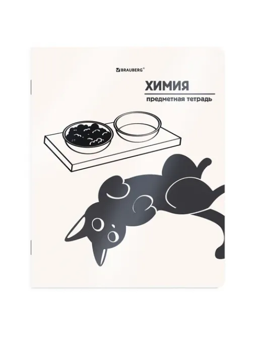 Тетрадь предметная КОТ-НЕПОСЕДА 48 л., пластиковая обложка, ХИМИЯ, клетка, подсказ, BRAUBERG, 405538