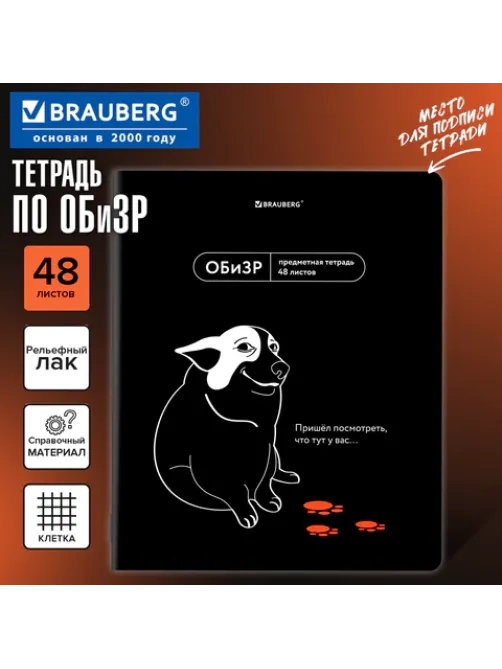 Тетрадь предметная МЕМЫ 48 л., TWIN-лак, ОБиЗР, клетка, подсказки, BRAUBERG, 405108