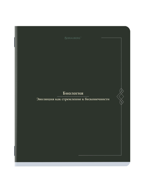 Тетради предметные, КОМПЛЕКТ 12 ПРЕДМЕТОВ, 48 л., SoftTouch, BRAUBERG 