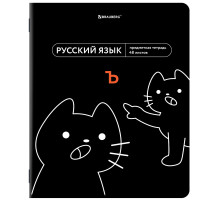 Тетрадь предметная МЕМЫ 48 л., TWIN-лак, РУССКИЙ ЯЗЫК, линия, подсказки, BRAUBERG, 405105