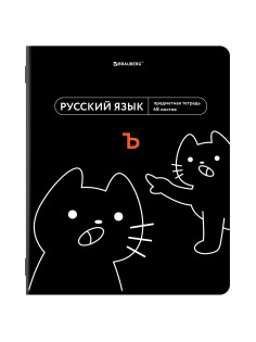 Тетрадь предметная МЕМЫ 48 л., TWIN-лак, РУССКИЙ ЯЗЫК, линия, подсказки, BRAUBERG, 405105