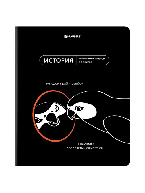 Тетради предметные, КОМПЛЕКТ 12 ПРЕДМЕТОВ, 48 л., TWIN-лак, BRAUBERG 