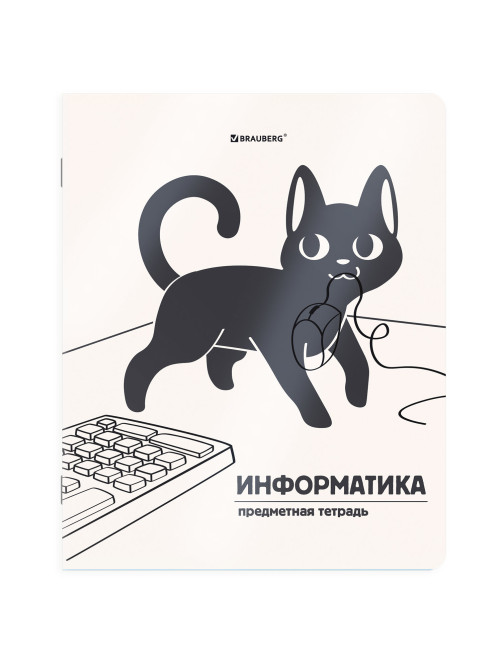 Тетради предметные, КОМПЛЕКТ 12 ПРЕДМЕТОВ 48 л., пластиковая обложка, BRAUBERG 
