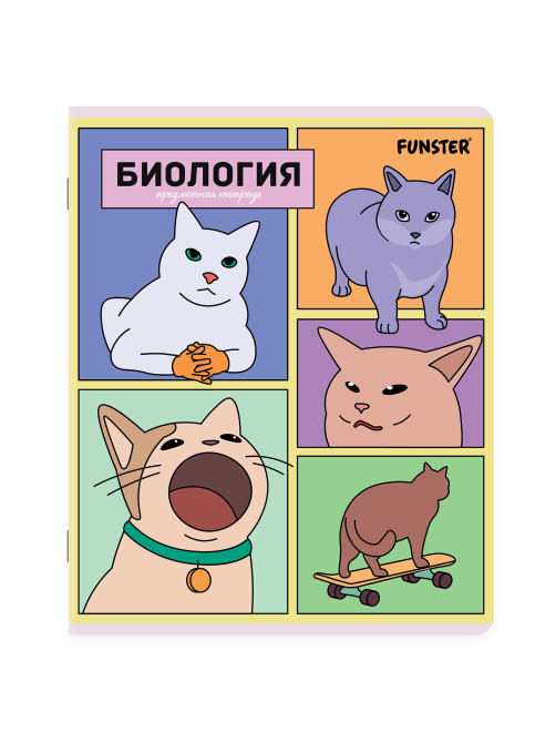 Тетради предметные, КОМПЛЕКТ 12 ПРЕДМЕТОВ, 48 л., TWIN-лак, FUNSTER (ФАНСТЕР), МЕМНЫЕ КОТЫ, 405604