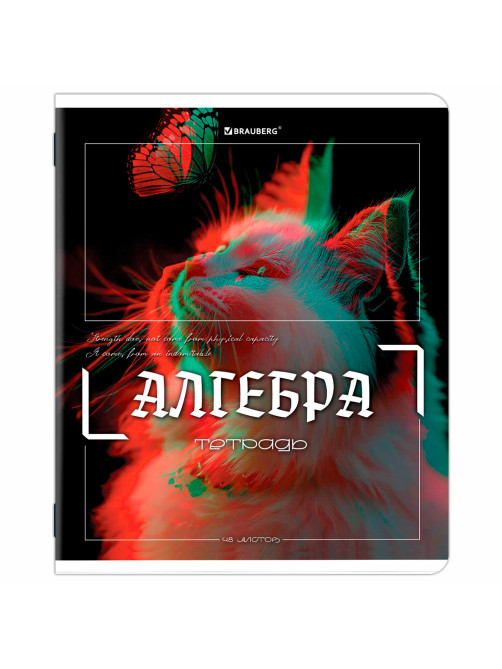 Тетради предметные, КОМПЛЕКТ 12 ПРЕДМЕТОВ, 48 л., глянцевый УФ-лак, BRAUBERG 