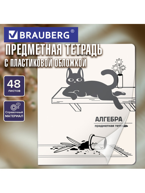 Тетрадь предметная КОТ-НЕПОСЕДА 48 л., пластиковая обложка, АЛГЕБРА, клетка, подсказ, BRAUBERG, 405527