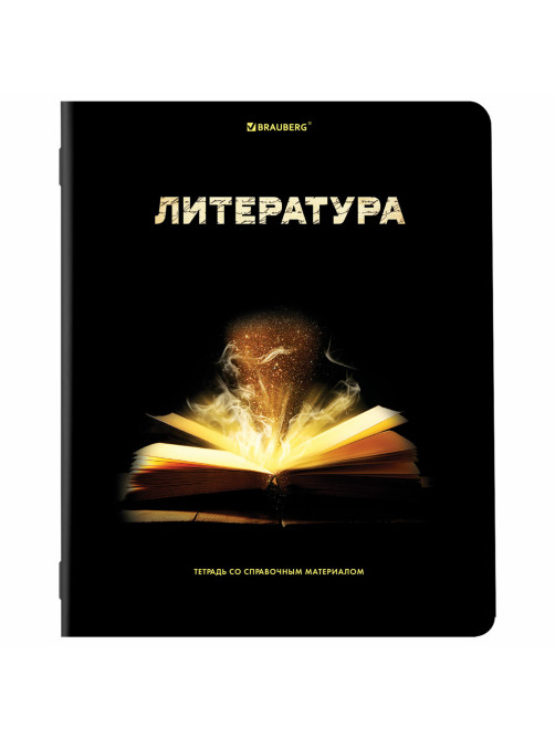 Тетради предметные, КОМПЛЕКТ 12 ПРЕДМЕТОВ, 48 л., глянцевый УФ-лак, BRAUBERG, 