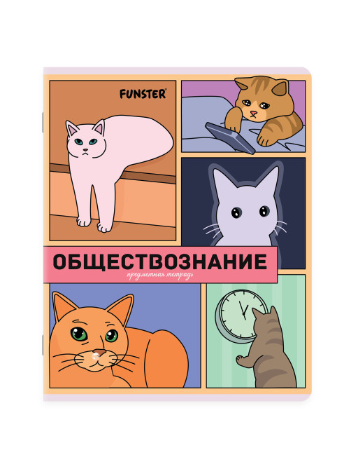 Тетради предметные, КОМПЛЕКТ 12 ПРЕДМЕТОВ, 48 л., TWIN-лак, FUNSTER (ФАНСТЕР), МЕМНЫЕ КОТЫ, 405604