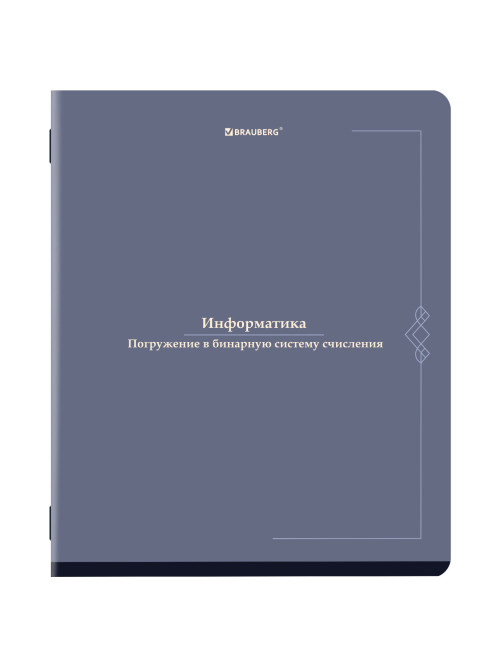 Тетради предметные, КОМПЛЕКТ 12 ПРЕДМЕТОВ, 48 л., SoftTouch, BRAUBERG 