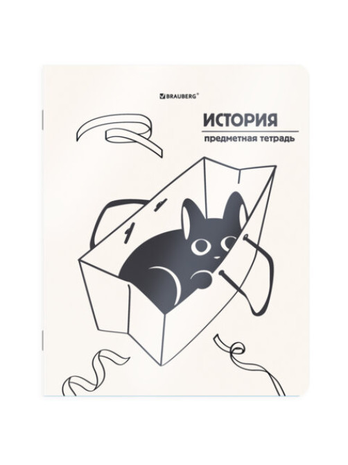 Тетрадь предметная КОТ-НЕПОСЕДА 48 л., пластиковая обложка, ИСТОРИЯ, клетка, подсказ, BRAUBERG, 405534
