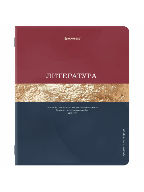 Тетради предметные, КОМПЛЕКТ 12 ПРЕДМЕТОВ, 48 л., матовая ламинация, фольга, BRAUBERG 