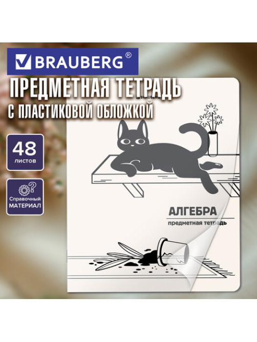 Тетрадь предметная КОТ-НЕПОСЕДА 48 л., пластиковая обложка, АЛГЕБРА, клетка, подсказ, BRAUBERG, 405527