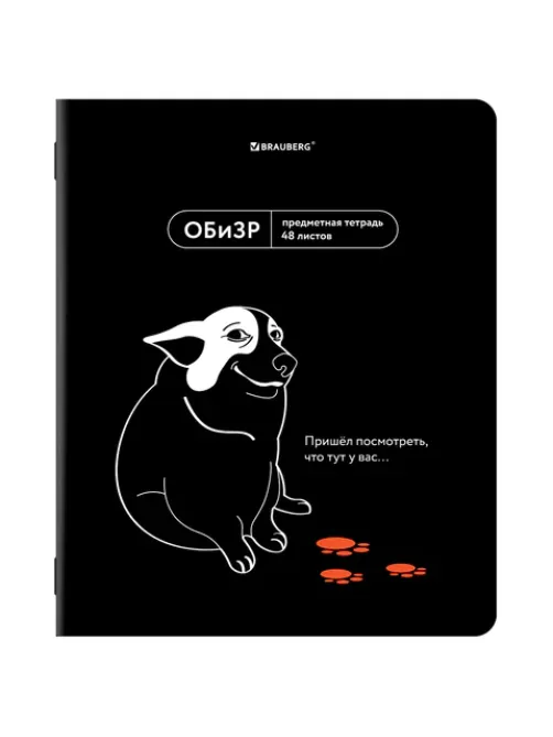 Тетрадь предметная МЕМЫ 48 л., TWIN-лак, ОБиЗР, клетка, подсказки, BRAUBERG, 405108