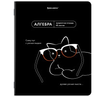 Тетрадь предметная МЕМЫ 48 л., TWIN-лак, АЛГЕБРА, клетка, подсказки, BRAUBERG, 405096