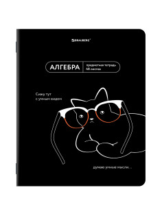 Тетрадь предметная МЕМЫ 48 л., TWIN-лак, АЛГЕБРА, клетка, подсказки, BRAUBERG, 405096
