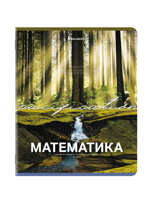Тетради предметные, КОМПЛЕКТ 13 ПРЕДМЕТОВ, 48 л., обложка картон, BRAUBERG 