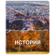 Тетради предметные, КОМПЛЕКТ 13 ПРЕДМЕТОВ, 48 л., обложка картон, BRAUBERG 