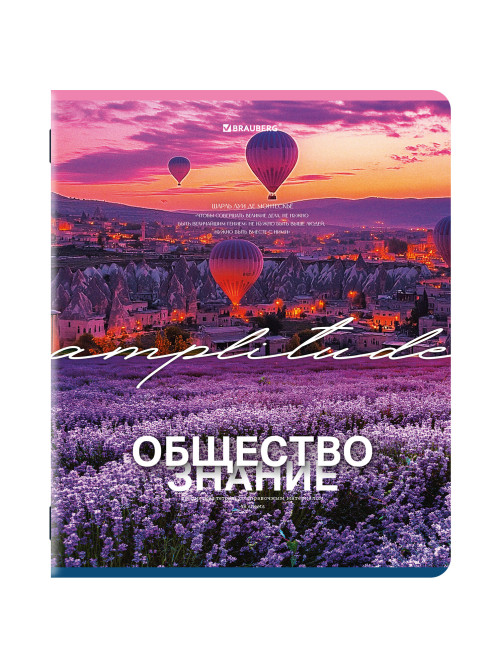 Тетради предметные, КОМПЛЕКТ 13 ПРЕДМЕТОВ, 48 л., обложка картон, BRAUBERG 
