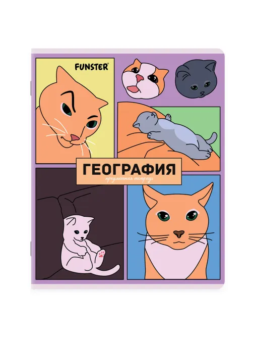 Тетради предметные, КОМПЛЕКТ 12 ПРЕДМЕТОВ, 48 л., TWIN-лак, FUNSTER (ФАНСТЕР), МЕМНЫЕ КОТЫ, 405604