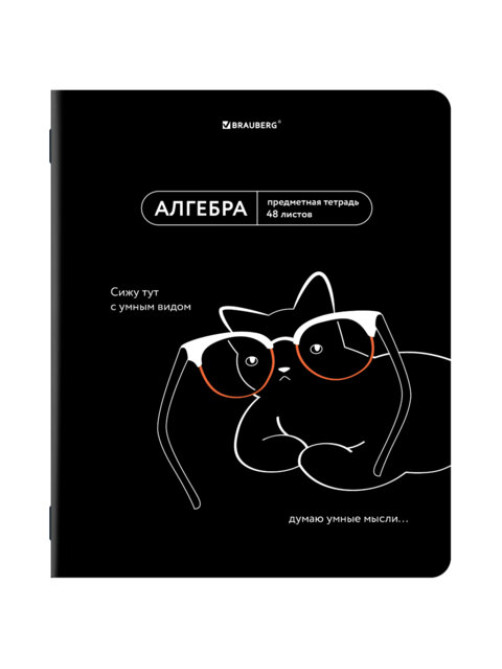 Тетрадь предметная МЕМЫ 48 л., TWIN-лак, АЛГЕБРА, клетка, подсказки, BRAUBERG, 405096