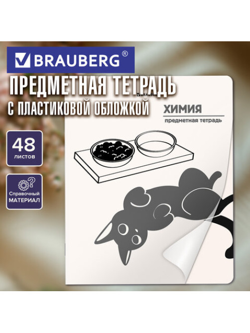 Тетрадь предметная КОТ-НЕПОСЕДА 48 л., пластиковая обложка, ХИМИЯ, клетка, подсказ, BRAUBERG, 405538