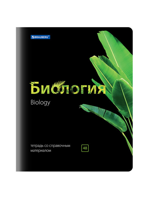 Тетради предметные, КОМПЛЕКТ 10 ПРЕДМЕТОВ, 48 л., глянцевый лак, BRAUBERG, 