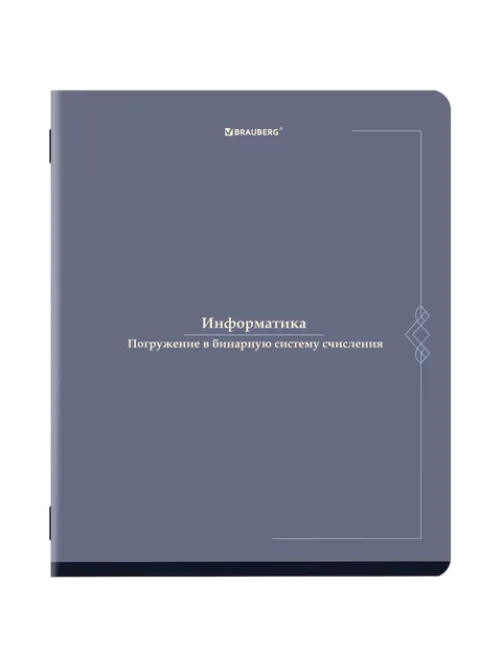 Тетрадь предметная VINTAGE 48 л., SoftTouch, ИНФОРМАТИКА, клетка, подсказ, BRAUBERG, 405154