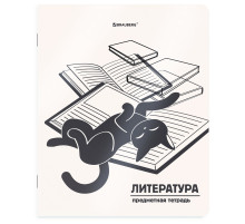 Тетрадь предметная КОТ-НЕПОСЕДА 48 л., пластиковая обложка, ЛИТЕРАТУРА, линия, подсказ, BRAUBERG, 405535